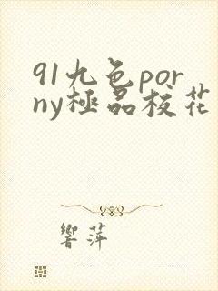 91九色porny极品校花在线观看