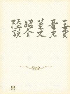 陆昭菱晋王的小说全文免费阅读