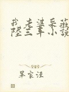 我老婆采薇养父陆三平小说在人间