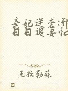 弃妃逆袭:邪王日日追妻忙小说免费阅读