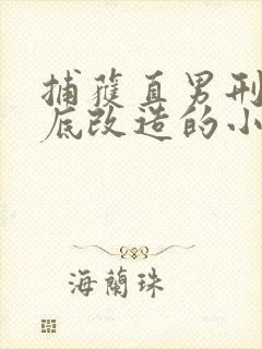 捕获直男刑警卧底改造的小说