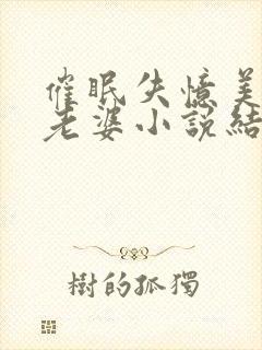 催眠失忆美母变老婆小说结局封面