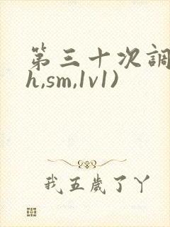 第三十次调教(h,sm,1v1)