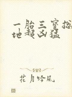 一胎三宝总裁爹地超凶猛