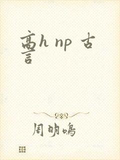 高h np 古言