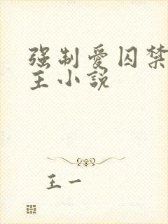 强制爱囚禁双男主小说