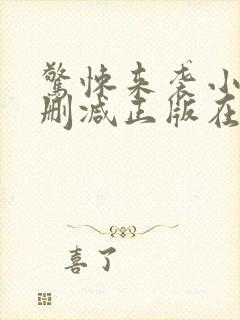 惊悚来袭小说无删减正版在线阅读