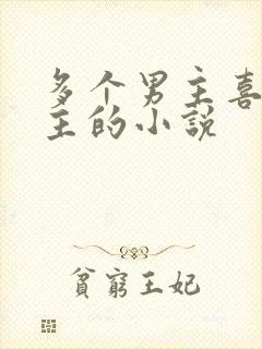 多个男主喜欢女主的小说