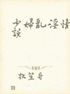 少妇乱淫情史小说封面