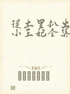 从土里扒出来的小王妃全集免费观看