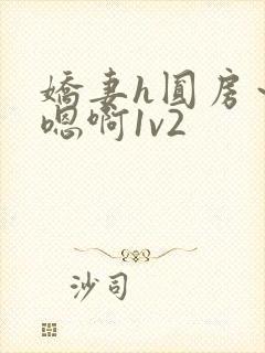 娇妻h圆房～h嗯啊1v2