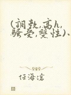 (调教,高h,骚受,双性)小说