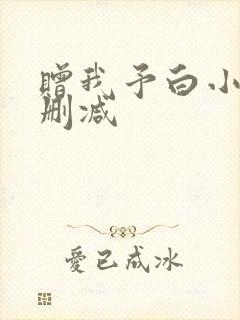 赠我予白小说无删减