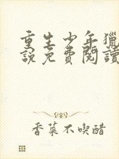 重生少年猎美小说免费阅读