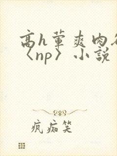 高h荤爽肉欲文〈np〉小说