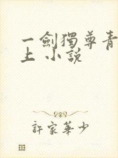 一剑独尊青鸾峰上 小说封面