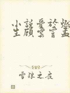 小说爱于燃尽新生顾云霄孟卿月在线阅读