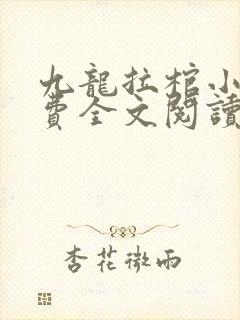 九龙拉棺小说免费全文阅读封面