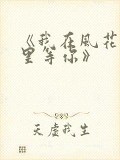 《我在风花雪月里等你》