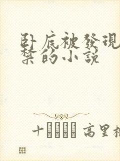 卧底被发现后囚禁的小说封面