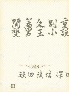 开篇久别重逢的双男主小说