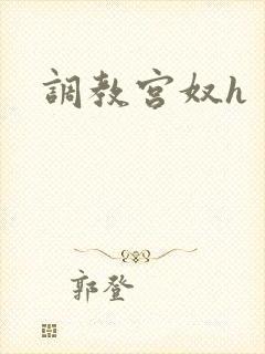 调教宫奴h