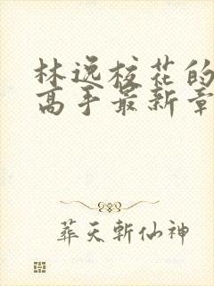 林逸校花的贴身高手最新章节8627