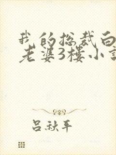 我的总裁白富美老婆3楼小说目录