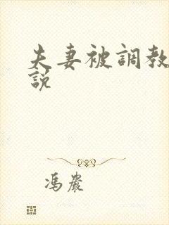 夫妻被调教的小说