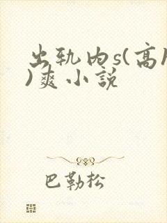 出轨内s(高h)爽小说