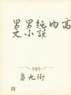 男男纯肉高被爽文小说