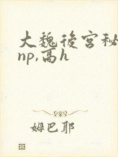 大魏后宫秘史(np,高h
