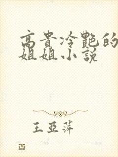 高贵冷艳的冰山姐姐小说封面