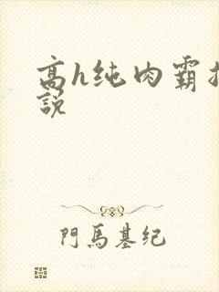 高h纯肉霸总小说封面