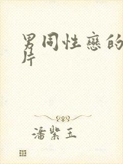 男同性恋的黄色片