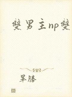 双男主np双性封面