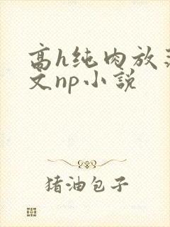 高h纯肉放荡h文np小说