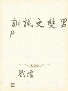 训诫文双男主sp