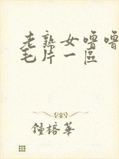 老熟女噜噜av毛片一区