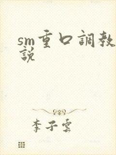 sm重口调教小说封面