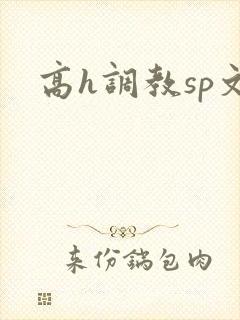 高h调教sp文