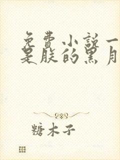 免费小说一皇后是朕的黑月光