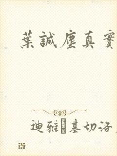 叶诚尘真实长相封面