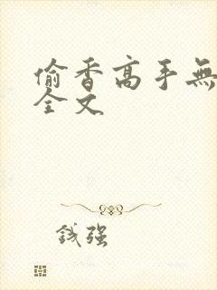 偷香高手无删减全文