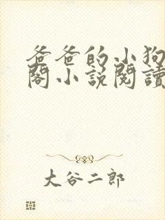 爸爸的小狗笔趣阁小说阅读