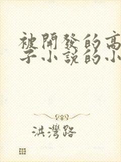 被开发的高冷妻子小说的小说