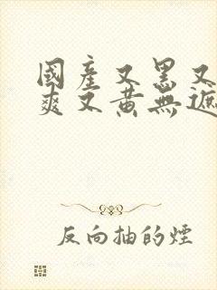 国产又黑又粗又爽又黄无遮挡