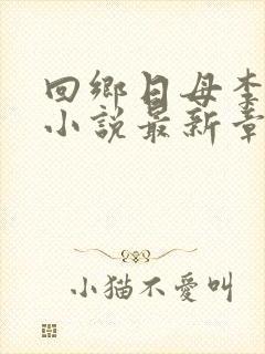 回乡日母李秋雨小说最新章节更新封面