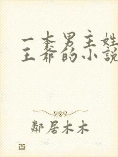 一本男主姓萧是王爷的小说