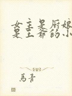 女主是厨娘男主是王爷的小说